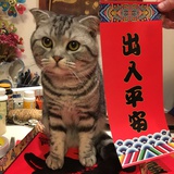 沈江谈谈音乐