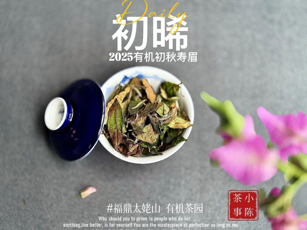 红褐色白茶，其实是秋寿眉？
红褐色白茶，更可能是做旧茶。
因为秋寿眉的颜色并非红