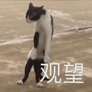 当汉堡遇上肉夹馍，无疑是中西美食的激烈碰撞。但论及口感与风味，肉夹馍更符合我们的
