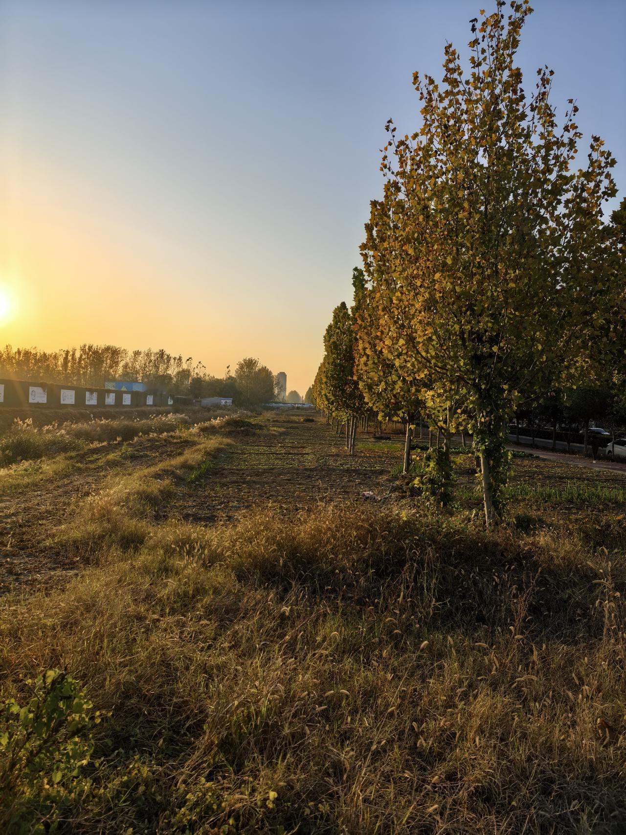 冬日生活打卡季美丽夕阳