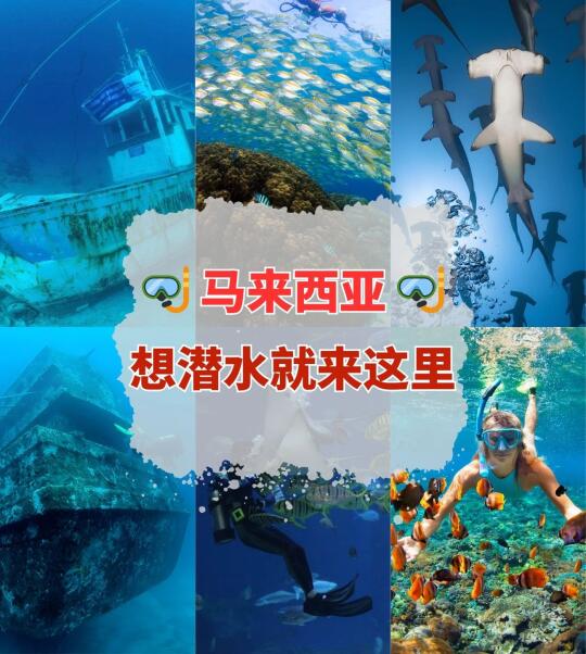 🇲🇾想潜水就来这里！