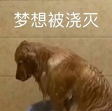 视届图影