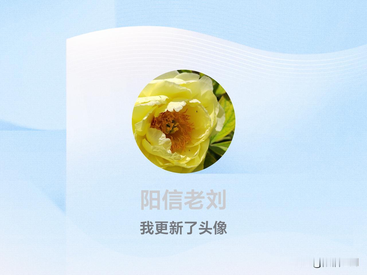 快来看看我新换的头像吧