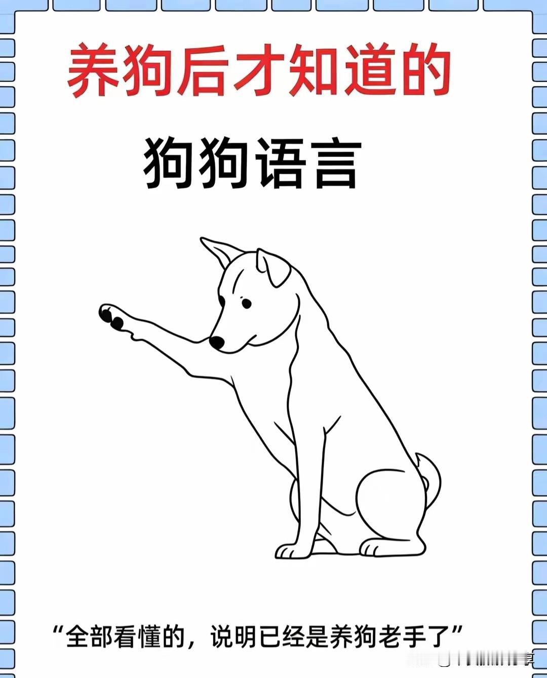 养狗狗的都知道，狗言狗语。狗 狗语即人心 狗语解读 狗语录 狗犬 养犬狗 狗交流