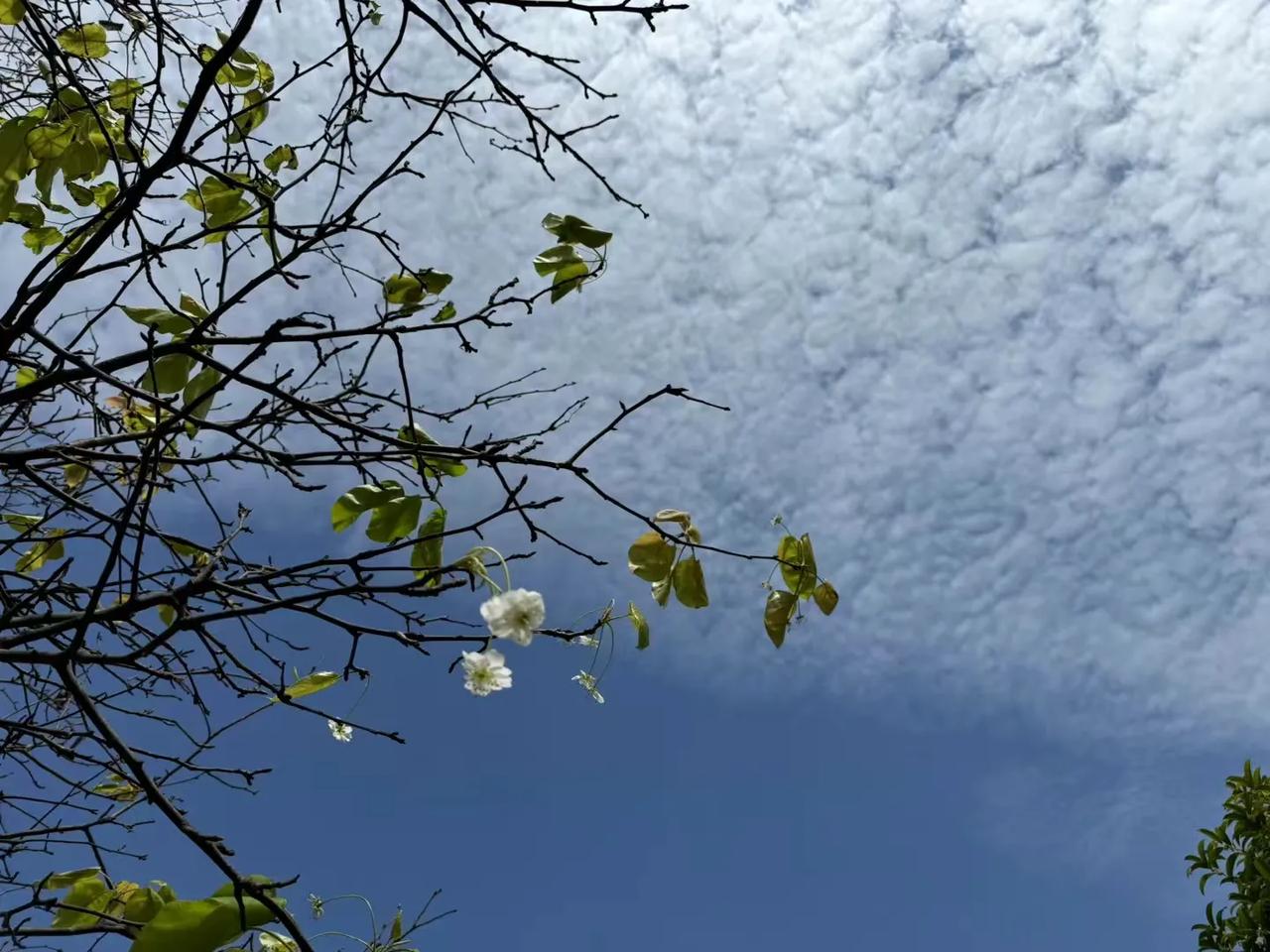 #秋日生活打卡#