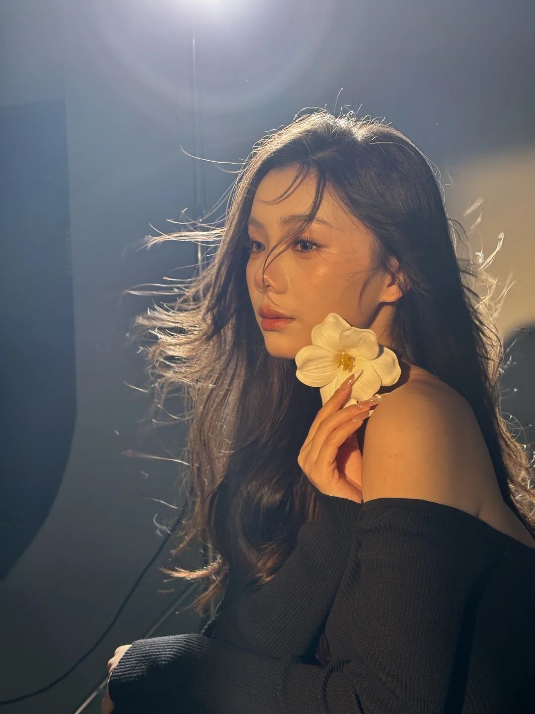 给破碎的我，拍了一组光与花的肖像📷