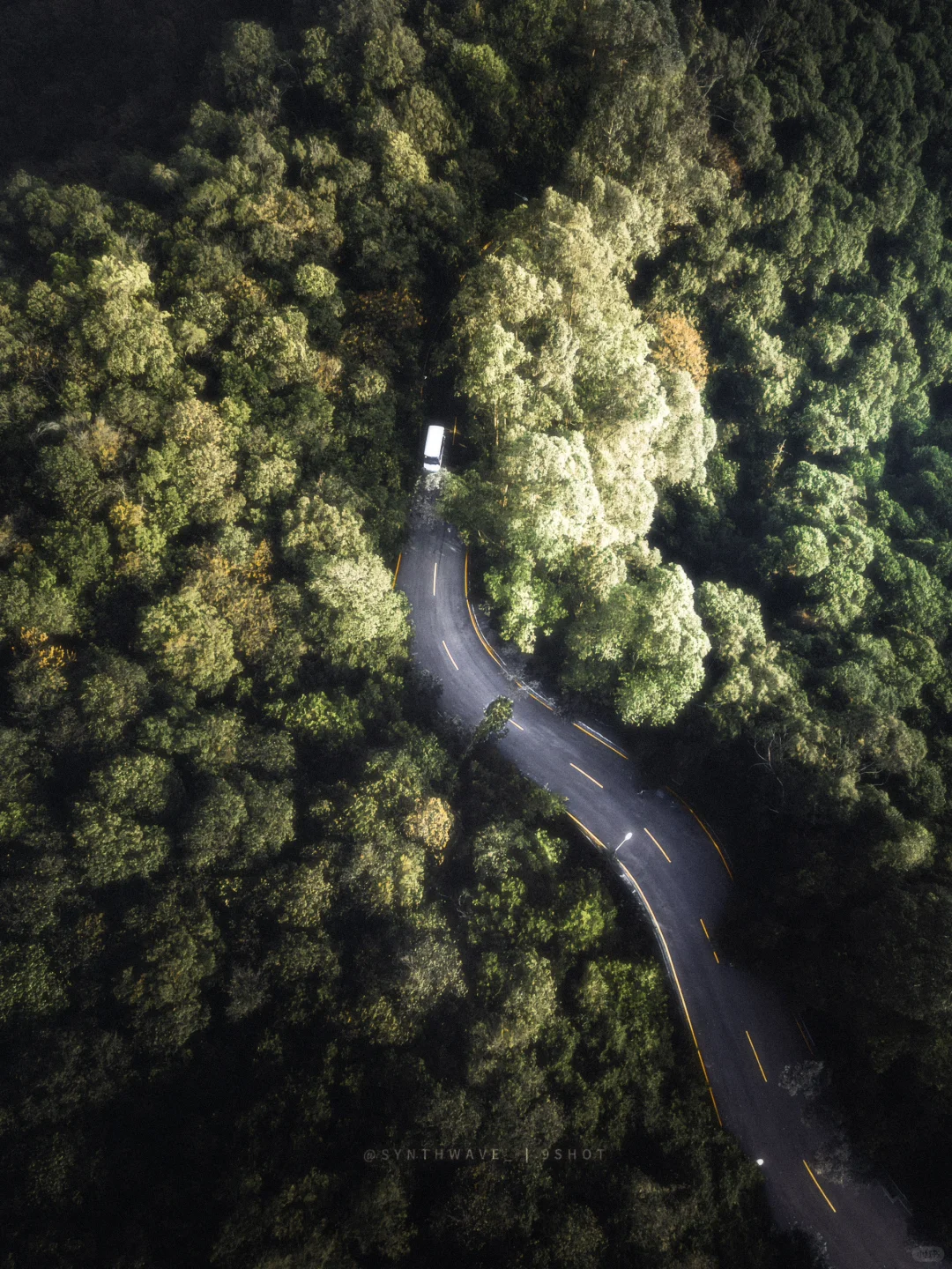 山路·晨光