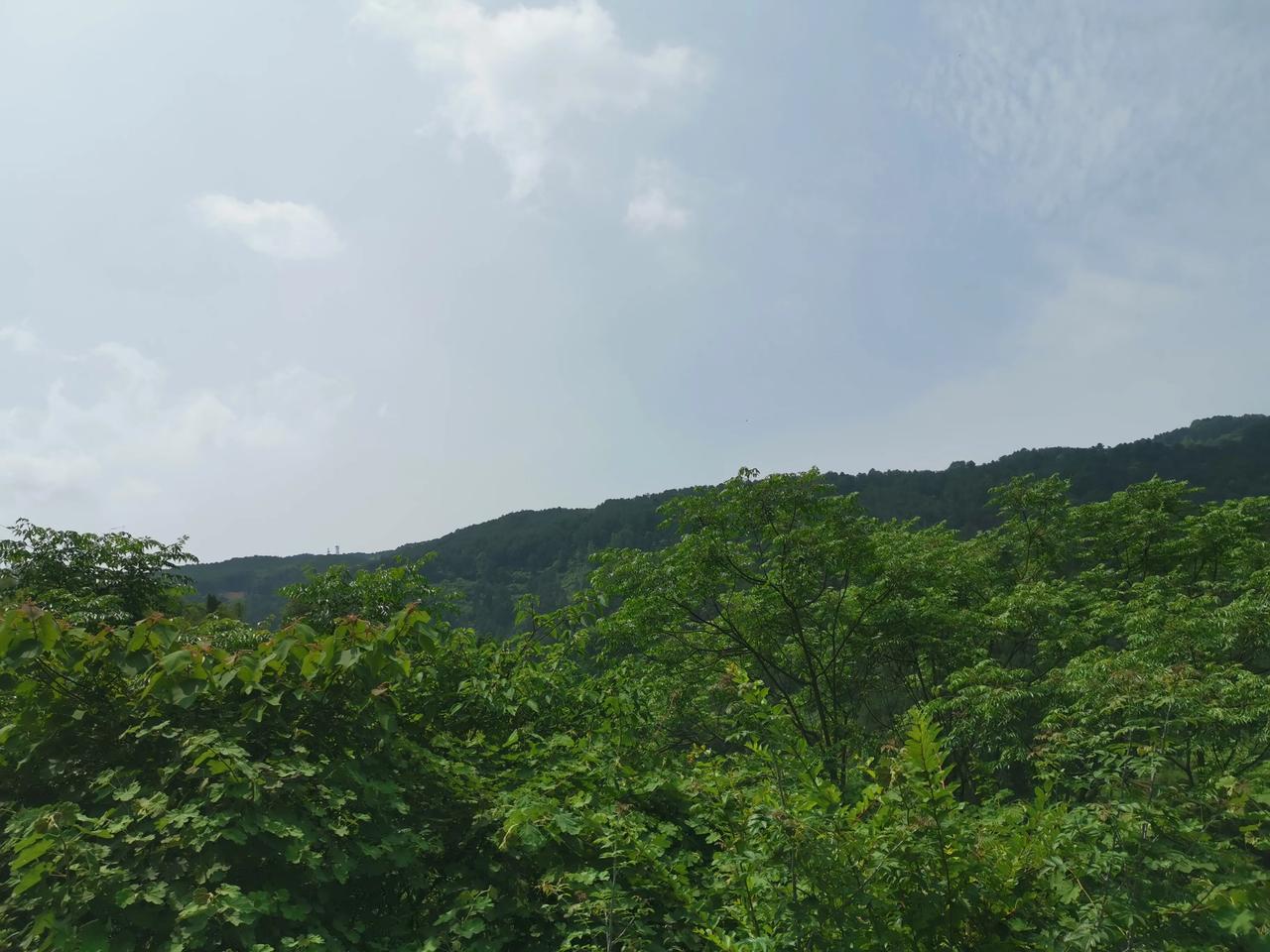 初夏，万物绿，天色如洗，乡村静，各归其本。