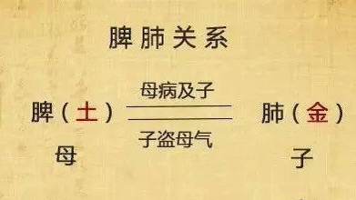 #中医##育儿专家说# 为什么，‘’培土能生金‘’？五行相生-木生火，火生土，土
