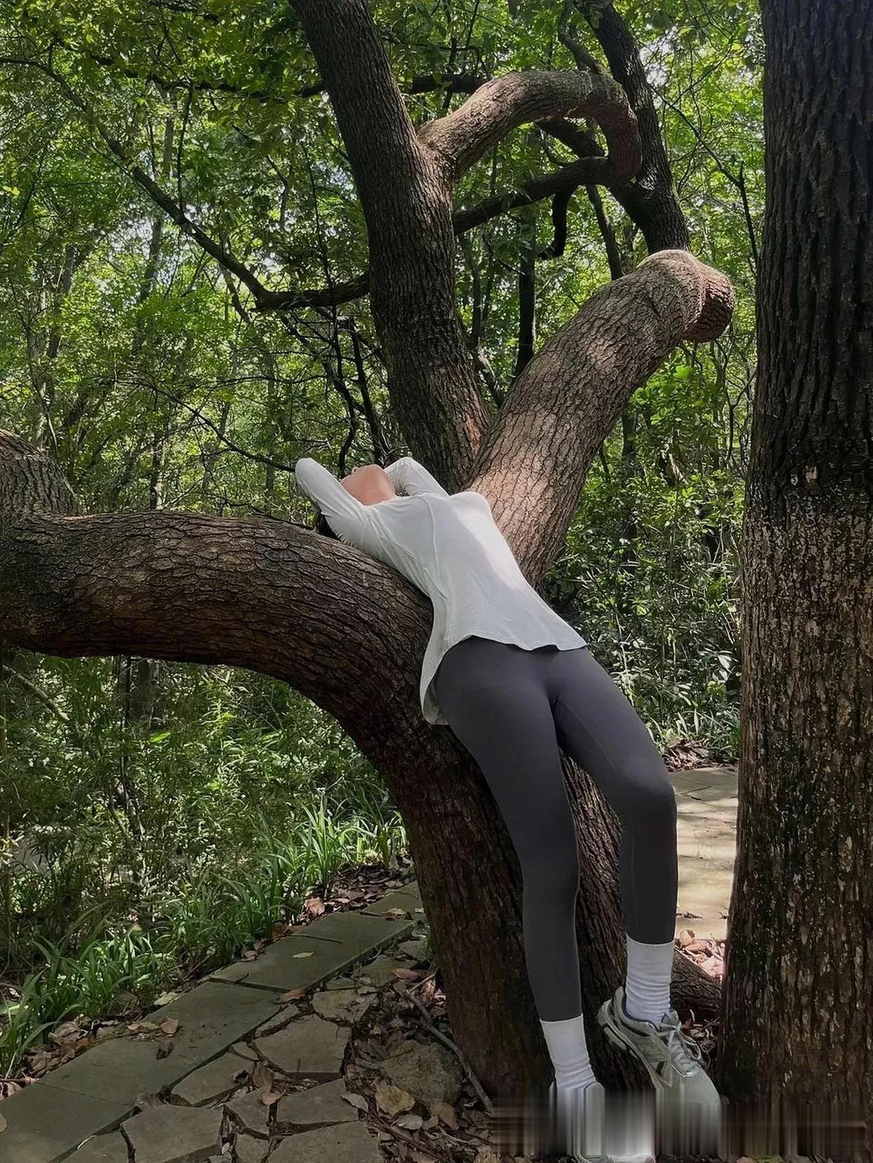 上联:背靠大树好乘凉

下联:？？？？


    