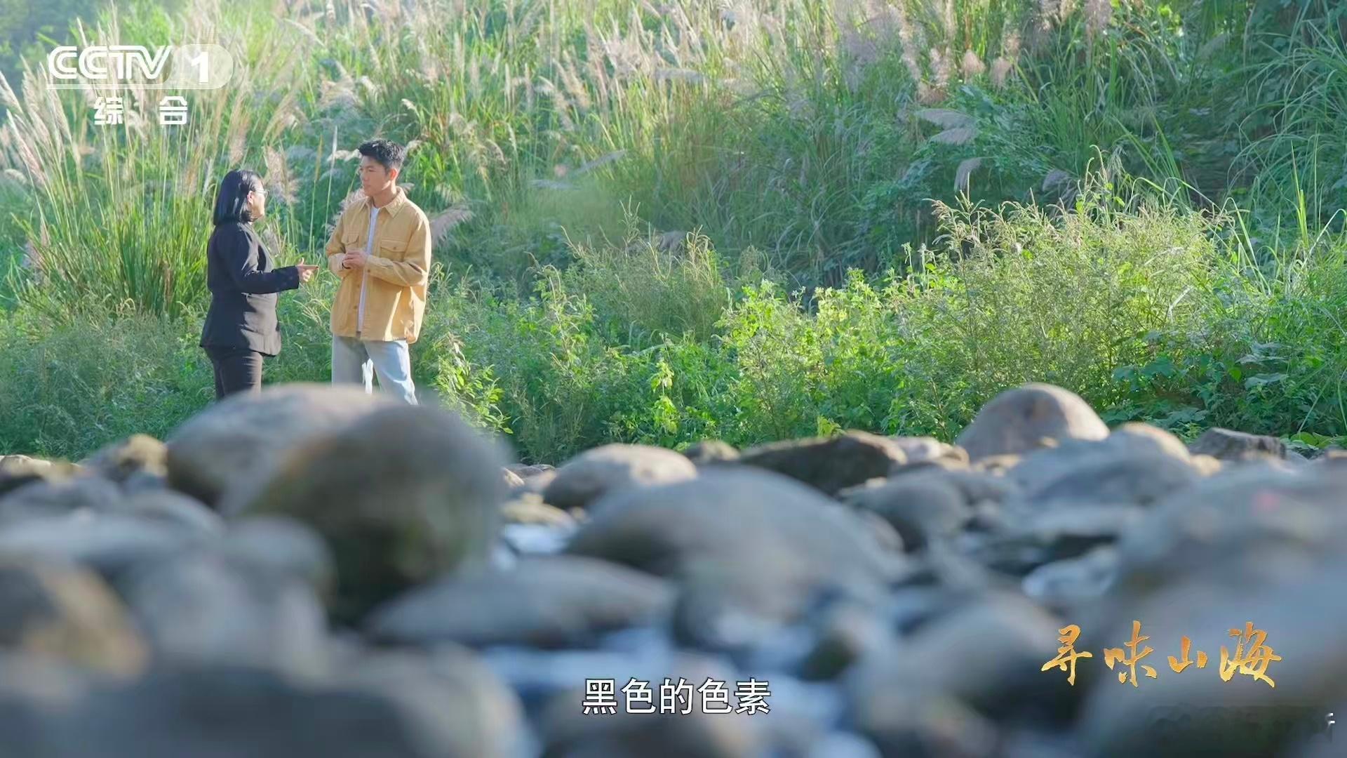 福建有种鸭越老越贵 福建连城白鸭真的兼顾了价值和营养，越老越值钱还营养超足，不管