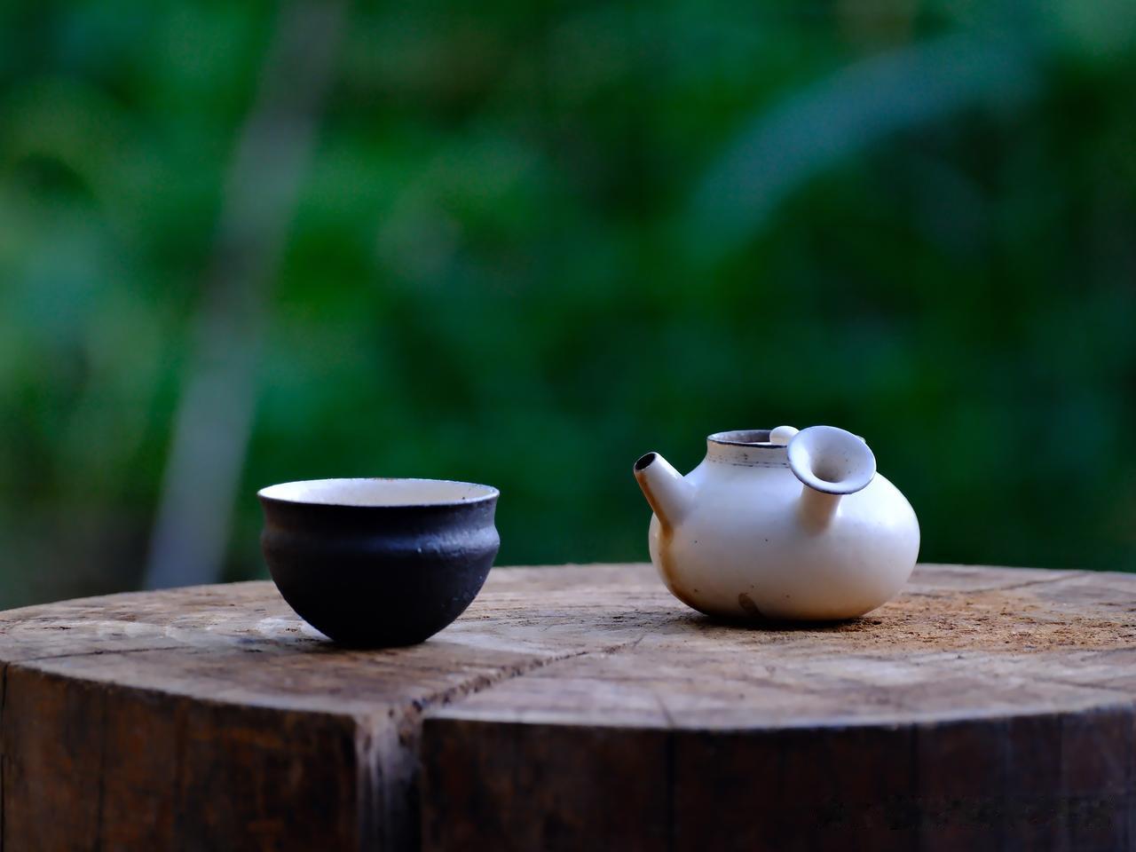 雨后的天空很蓝很透
傍晚，没有往昔的飞机
也没有一丝云彩

小狗偎依在妈妈身边