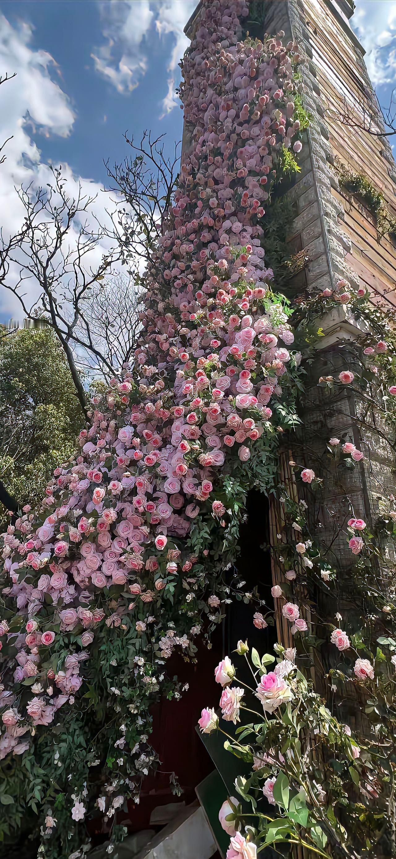 春日限定壁纸🌸 设计美学  手机壁纸｜精选壁纸｜高清壁纸 