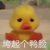 仁晓爱谈科技