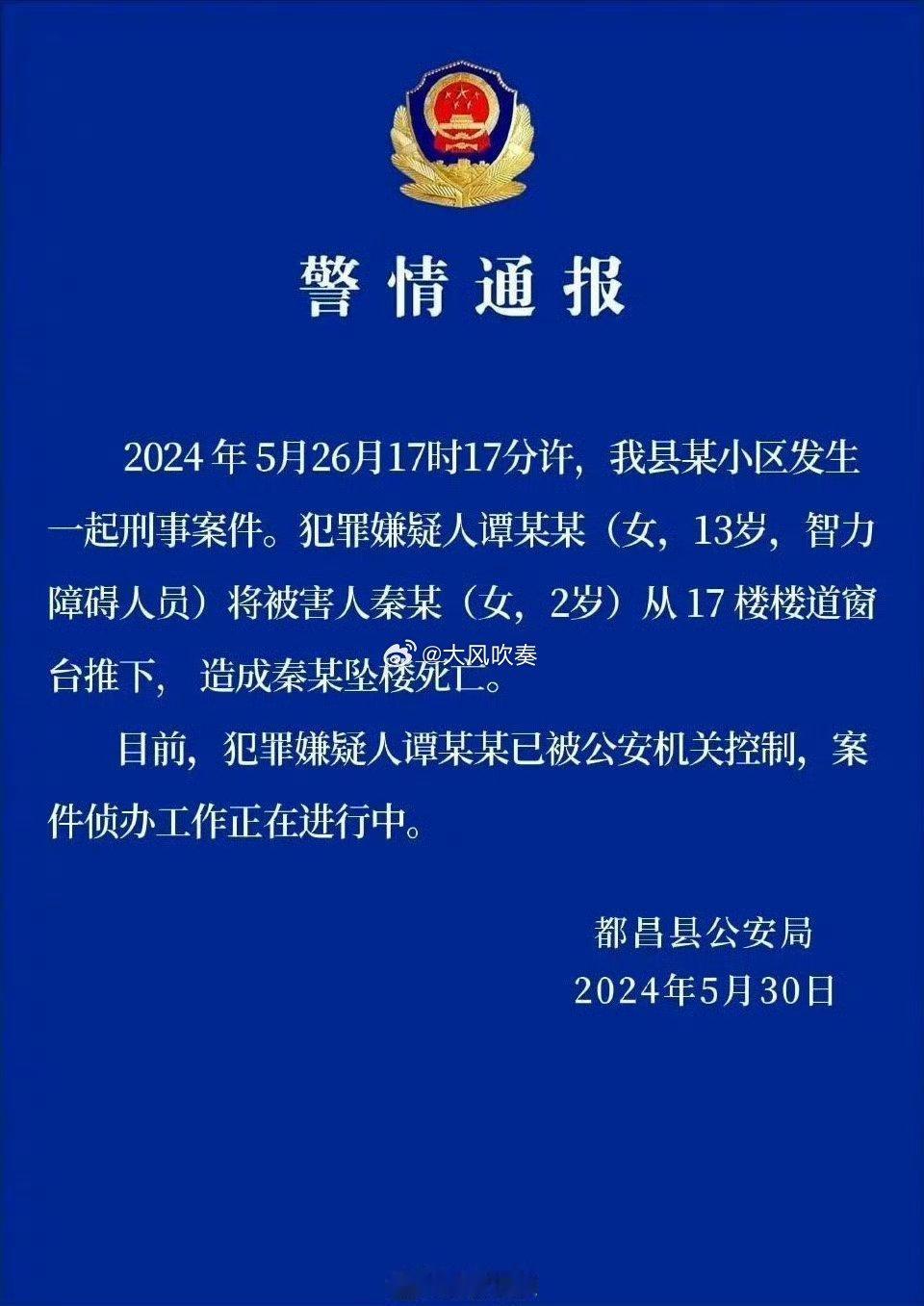 #2岁女童被邻居女孩带上17楼后坠亡#12岁以上，14岁以下，智力障碍，这个案子