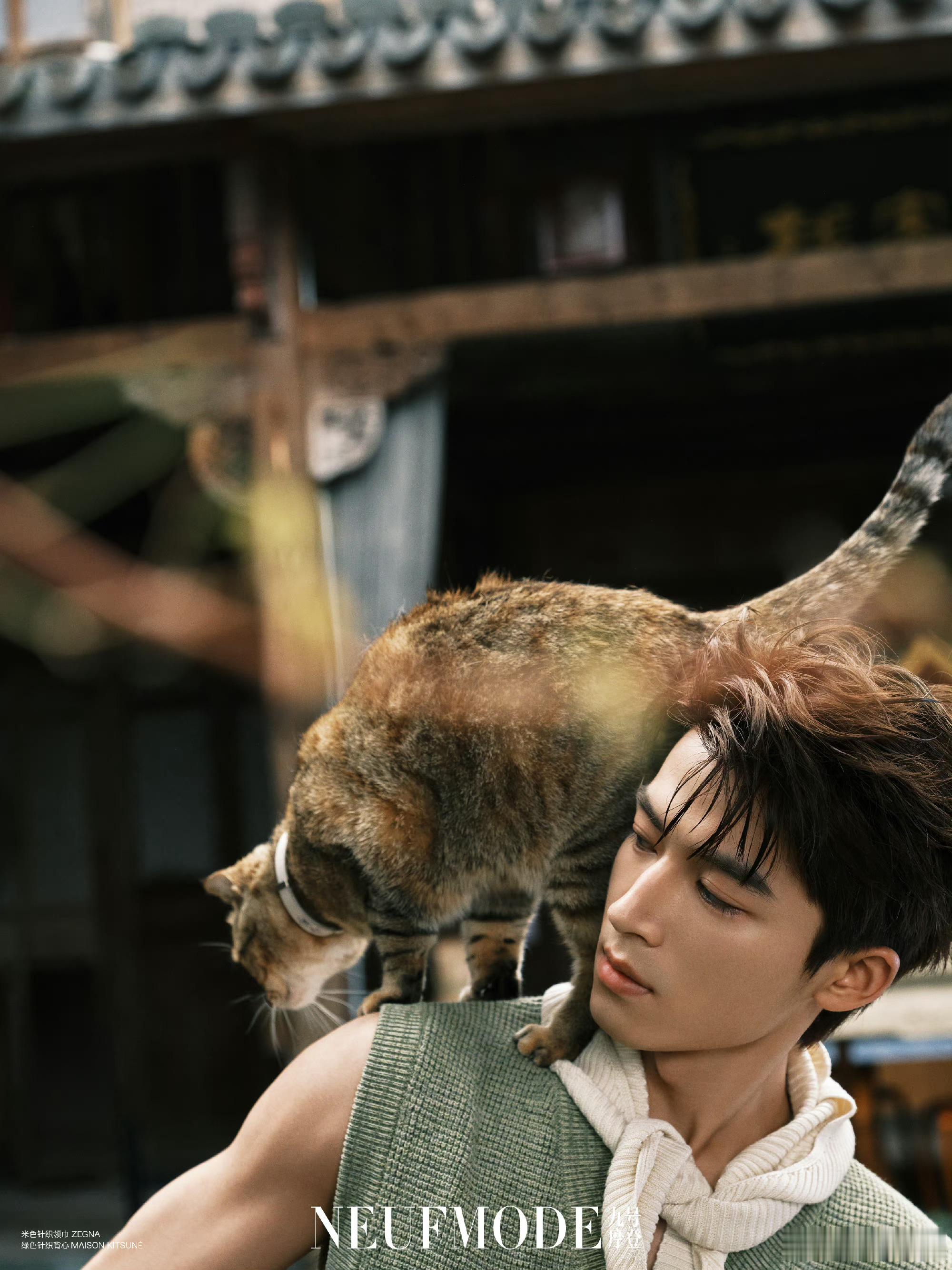 #王星越背着狸花猫##王星越背着阿狸# 王星越背着狸花猫！！四舍五入王星越背着阿