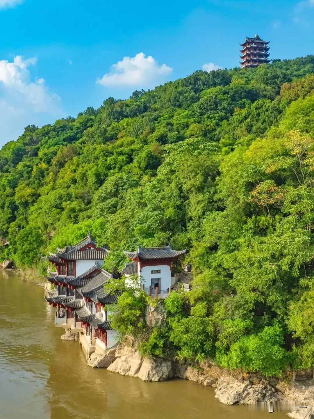 九九重阳节将至，这究竟意味着什么？意味着咱们得与那些“银发族”一同狂欢啦！想象一