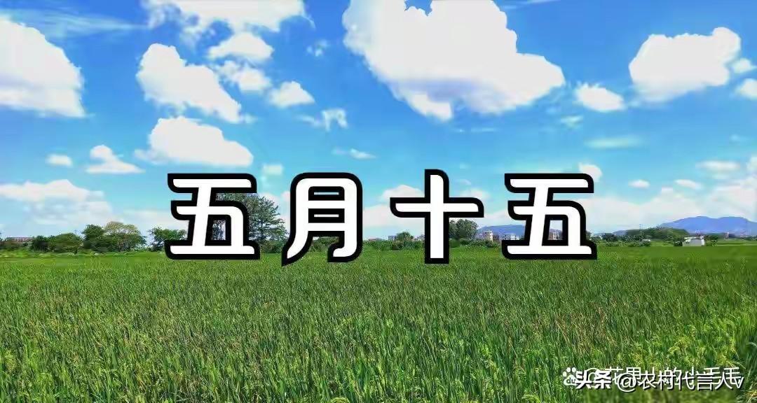 今日五月十五是“望日”，牢记：1不动，2不去，3不争，4要吃
 
农历五月十五，