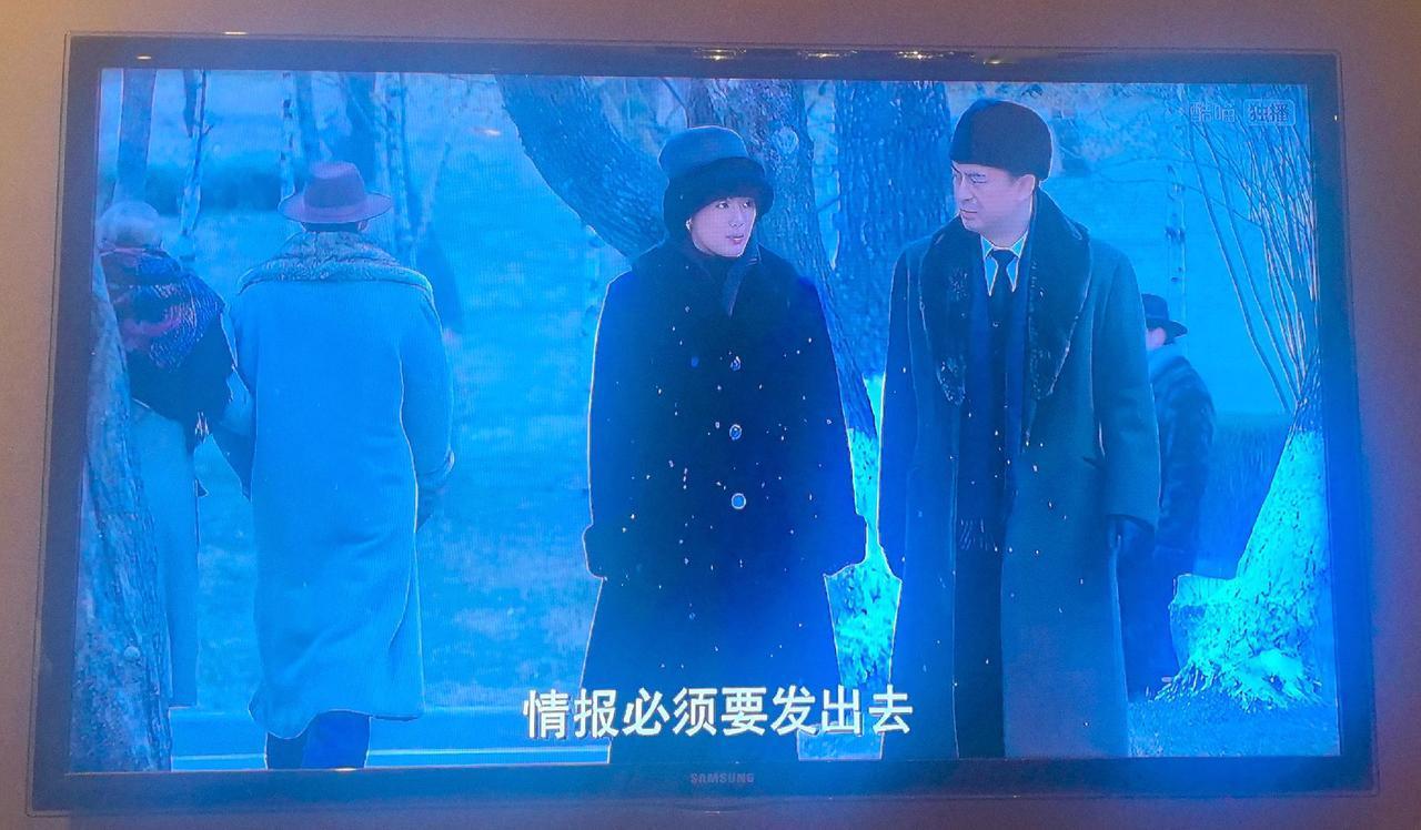 昨天刚录完抗联第八金根烈士在七星砬子密营牺牲的事迹，今天就在《悬崖》里看到七星砬
