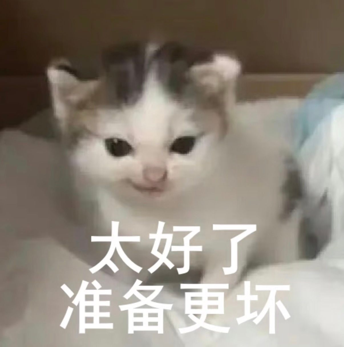 百花杀 何与歪脖子这一下哈哈哈哈哈哈（太子准备更坏） 