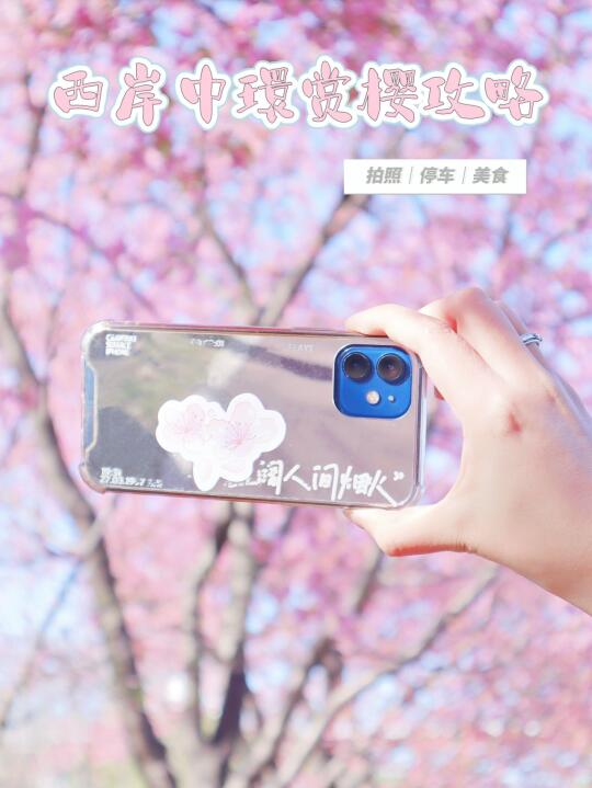 2025 西岸中環citywork 🌸赏樱花攻略