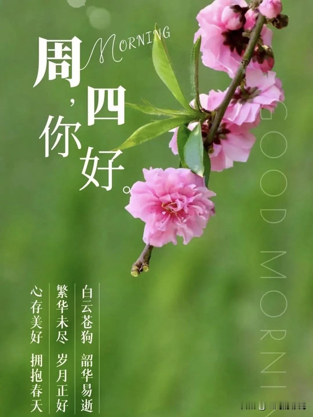 在失望和希望间徘徊，但我们总会在跌倒后爬起，然后迈入一片新的高地。谢谢这个季节，