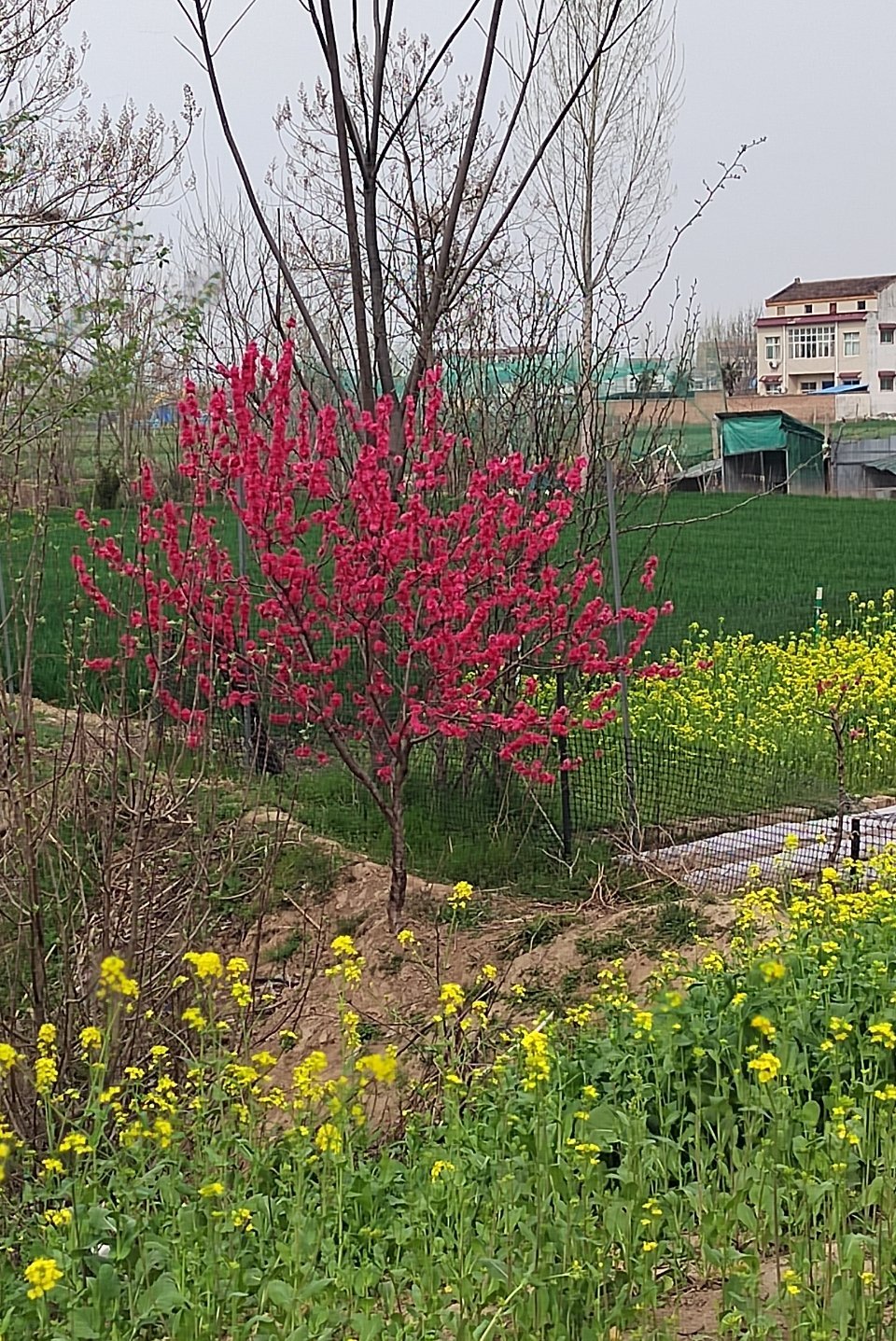 morning～六点出去上厕所听见小孩哥房间有声音推门一看，他在听故事我说怎么醒