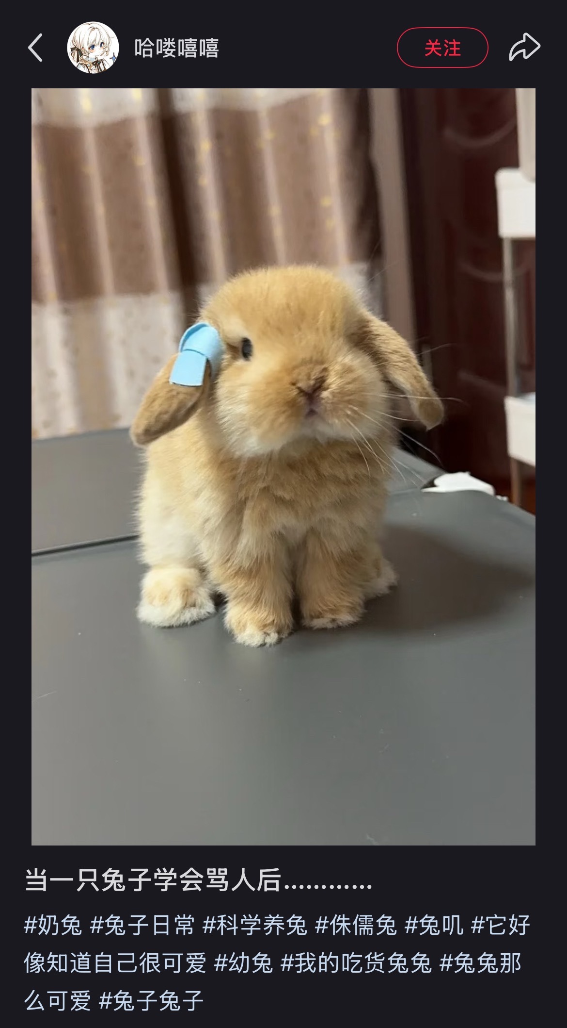乍一眼看上去像墨墨兔在无语。 