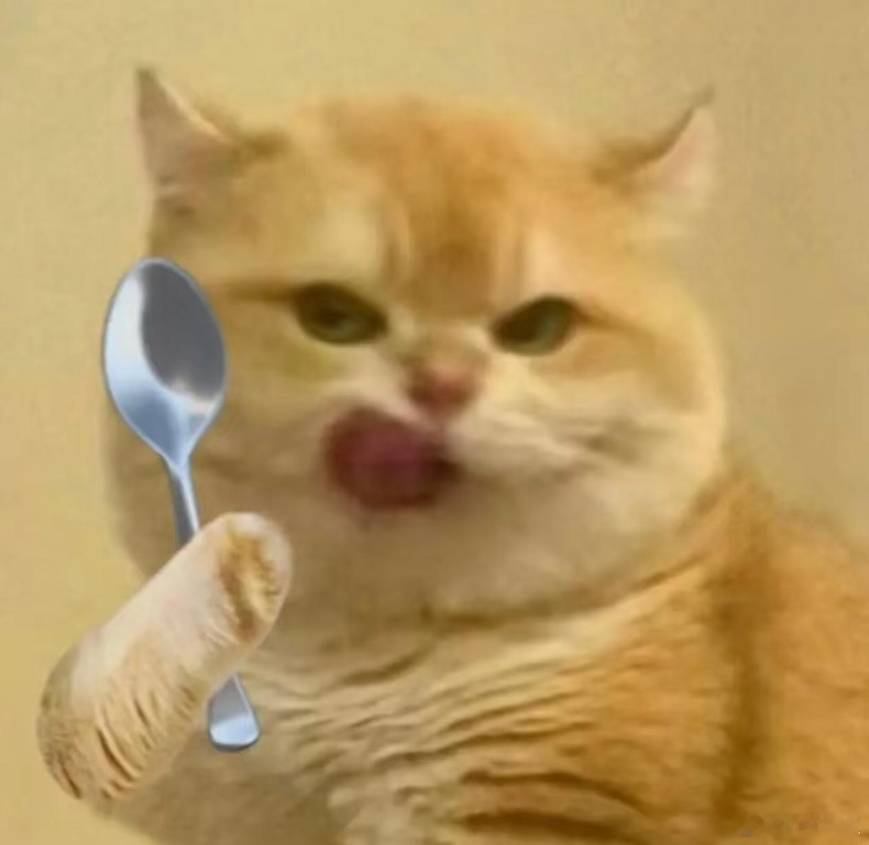 我亲爱的互联网吃饭搭子，晚上吃的什么？！解锁木薯炖奶新吃法·不太甜版 