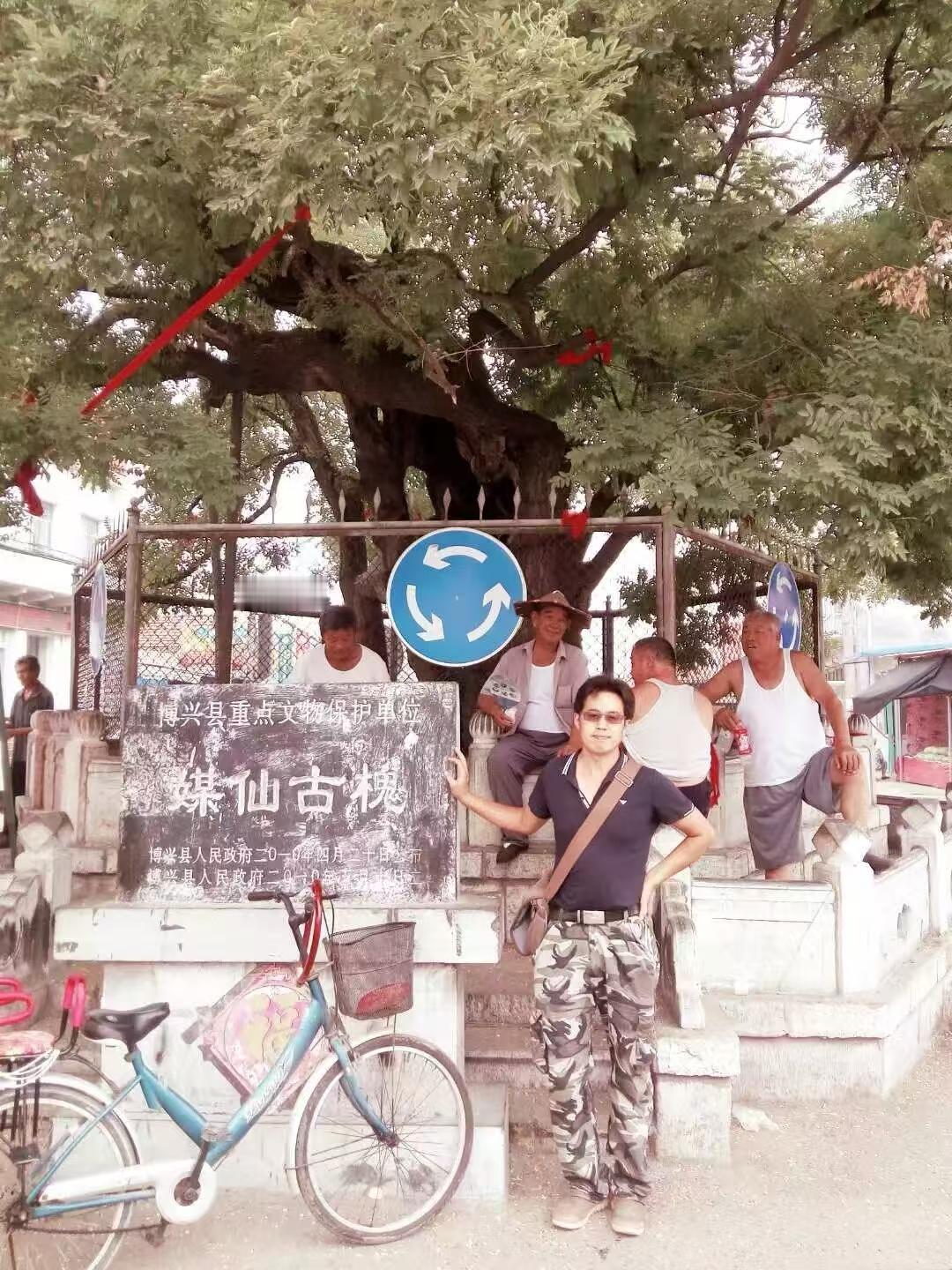 那年我去博兴，特意到“媒仙古槐”下拍照。树被铁栏围着，枝丫上系满红绸，像披了件热