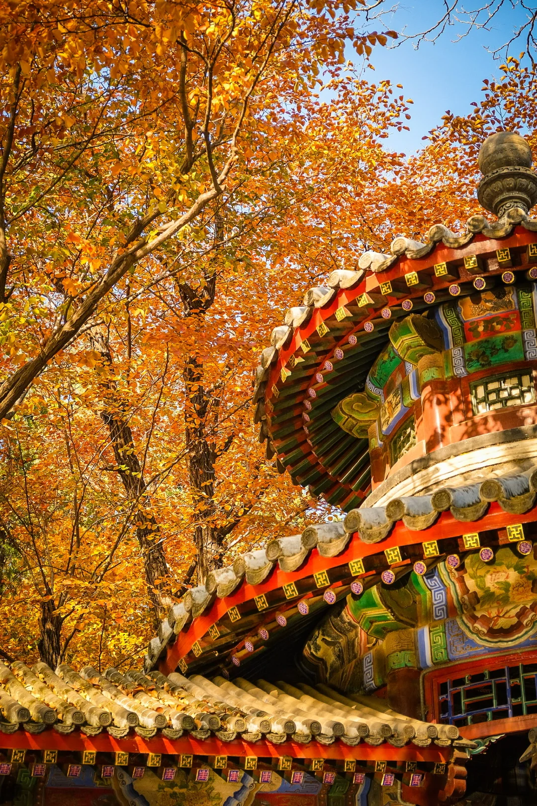 永远可以相信颐和园的审美🍂🍁