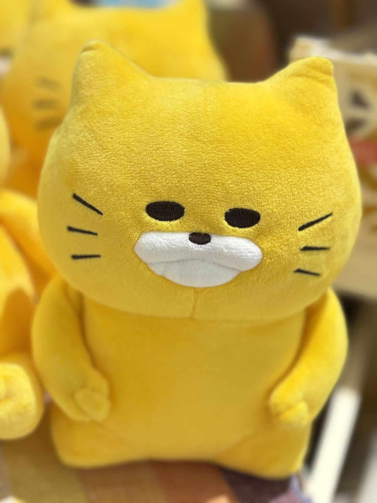 随手拍，分享图片黄红白兰。