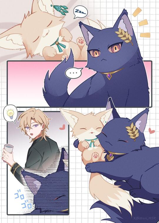 是猫咪带来的启发