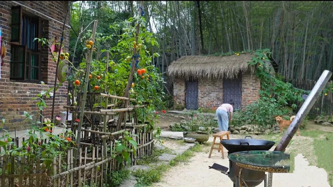 竹林深处有人家，远离闹市远繁华，无为不做红尘事，轻煮岁月慢煮茶。

山居久了，就
