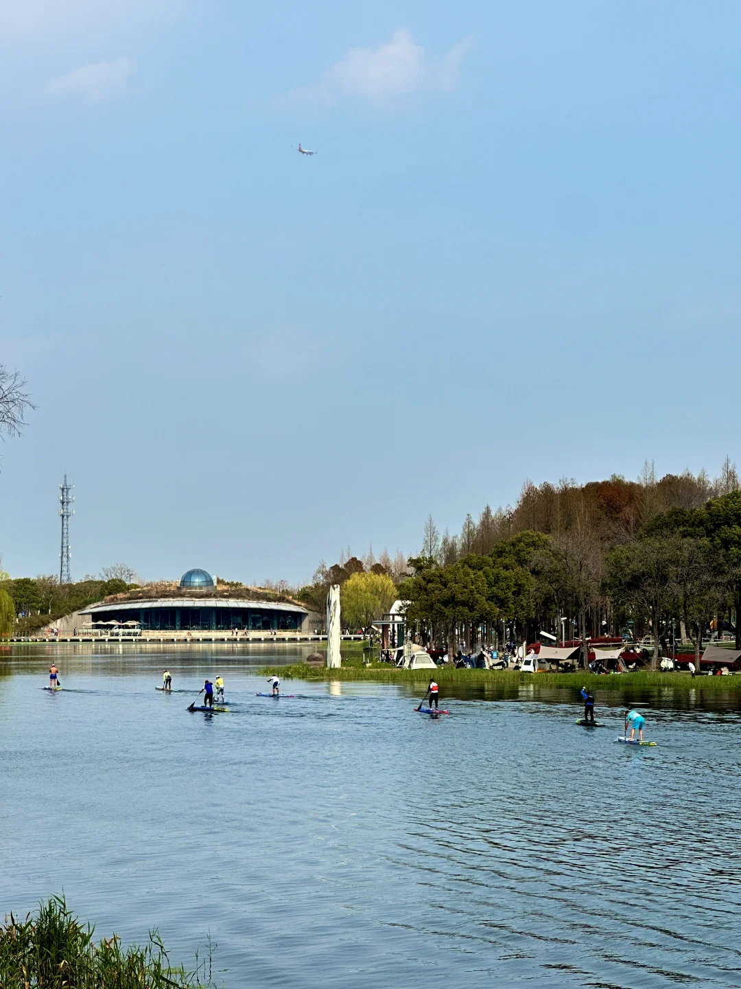 上海这里露营环境太顶了❗️还可以钓鱼🎣