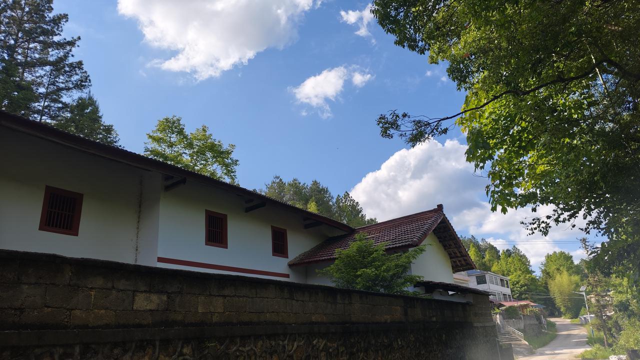 一起来看看我租的院子附近景色……