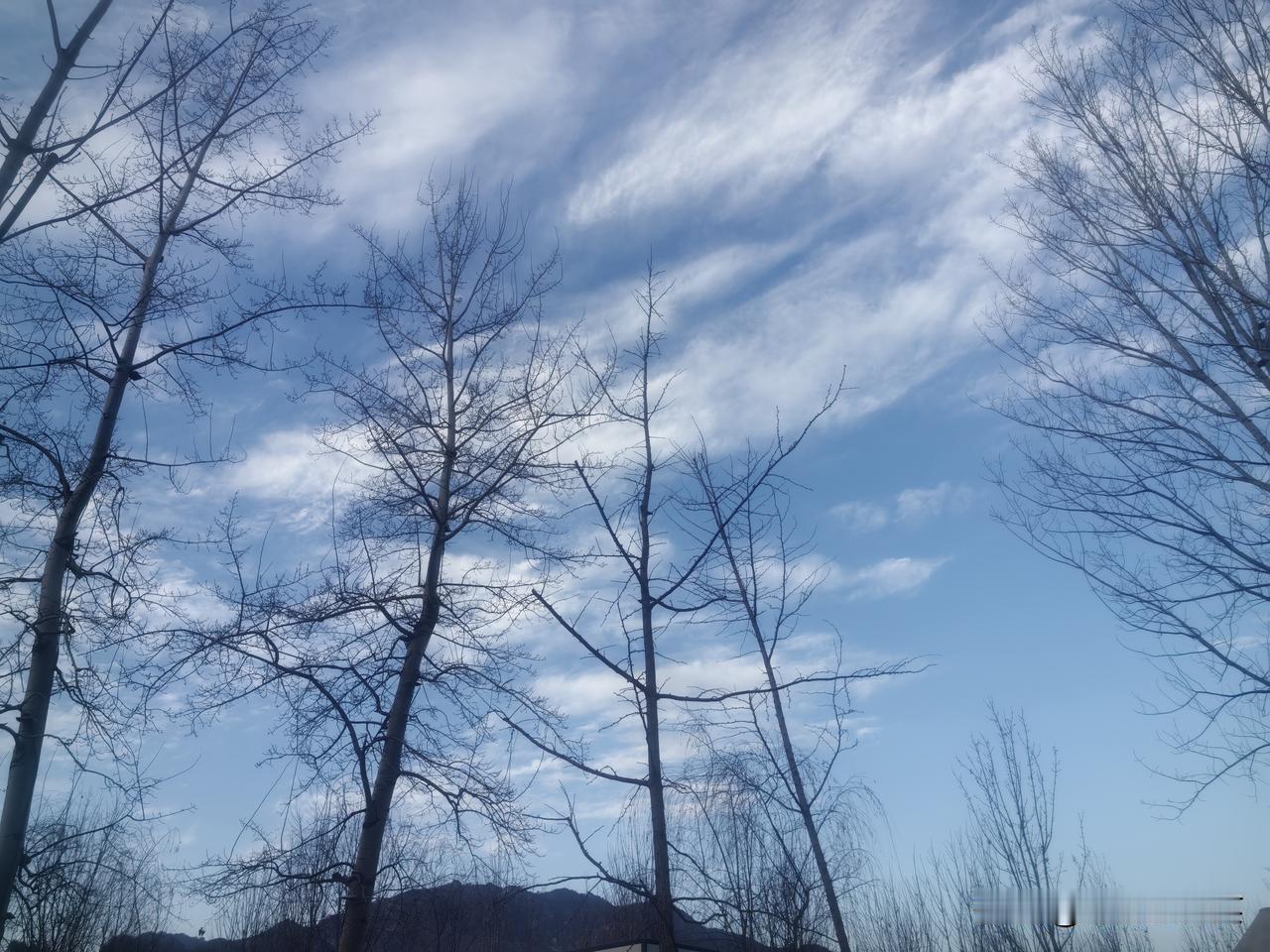 人生三层境界：弱者着相，强者破相，智者无相
 
1. 弱者着相
《道德经》有言：