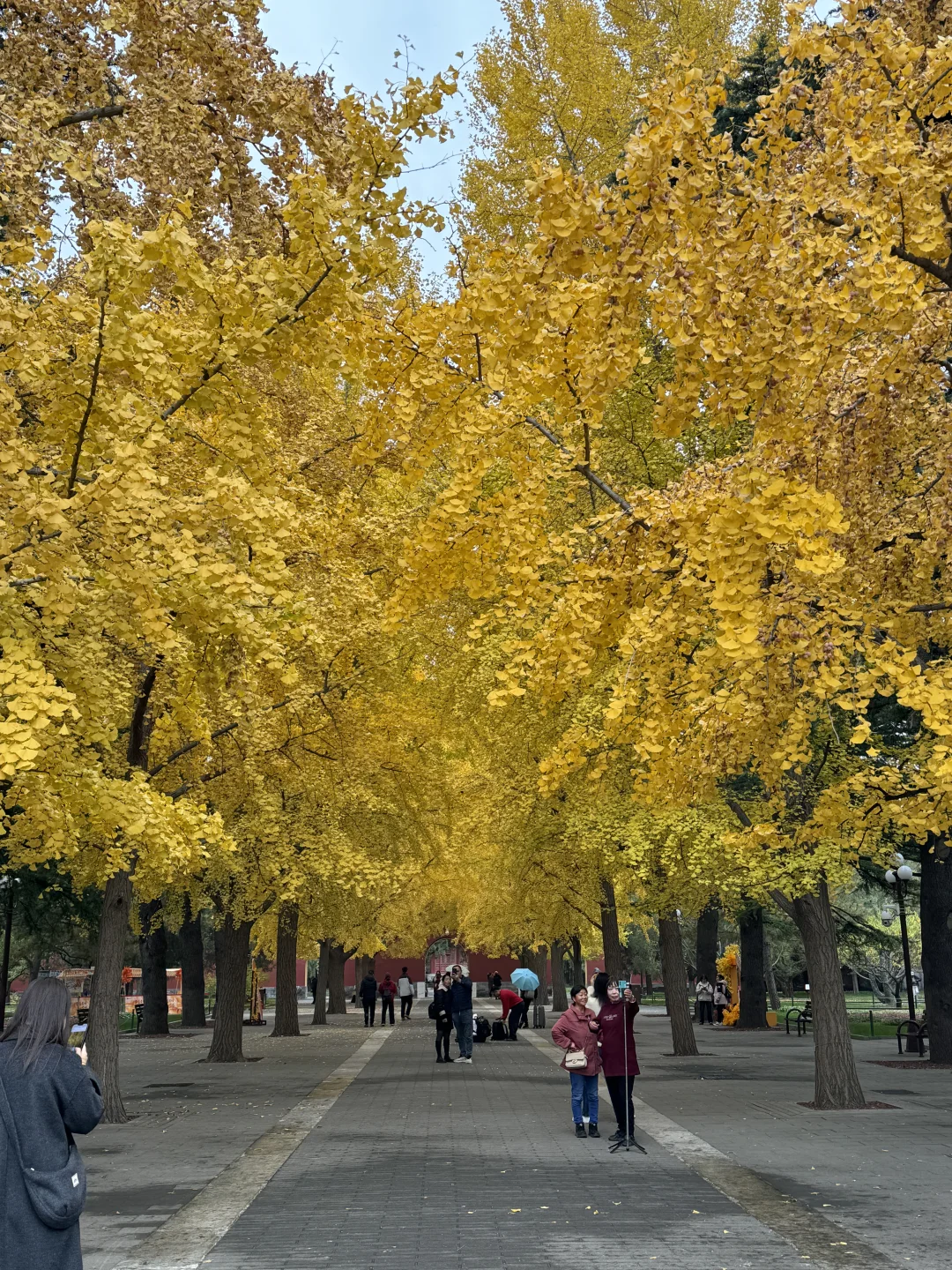 11.7中山公园实况，预判下周初还能看到！