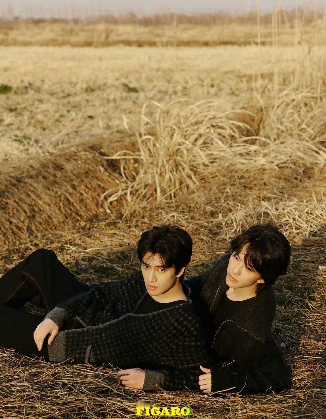 是否有点太近了。。。 