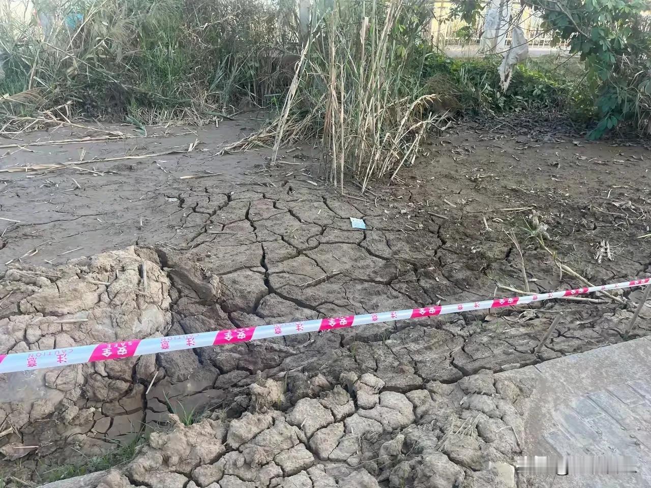 邕江水大降，岸边的植被已经干枯，零零碎碎搞了点鱼货，酷暑褪去，气温也降下来了，景