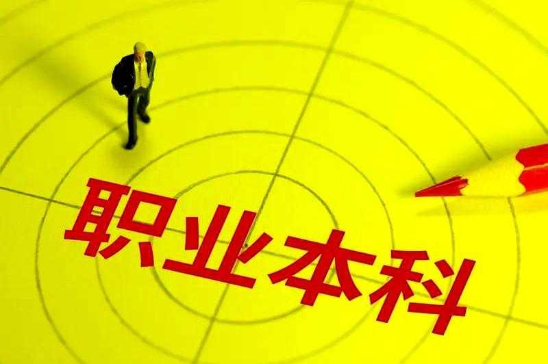 职业本科是本科层次的职业教育。
眼看着他把一半的大学时光都泡在实训室里，就是为了