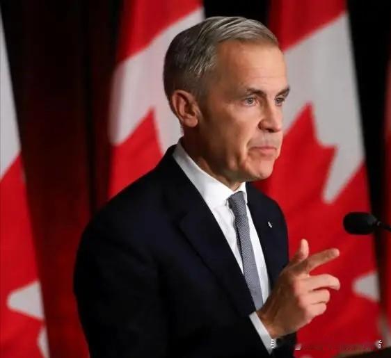 在国际博弈的棋局中，依附注定被动，开放方能破局。

加拿大此次与中国的“电车换菜