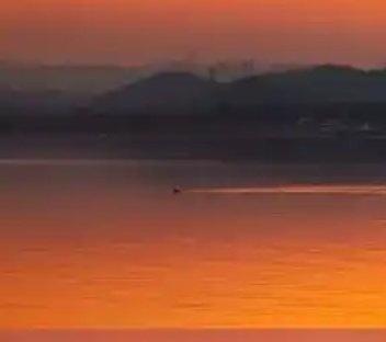 每一个科学里，最生气蓬勃，能够决定学科前途和方向的，是年轻人。青年的思想愈被榜样