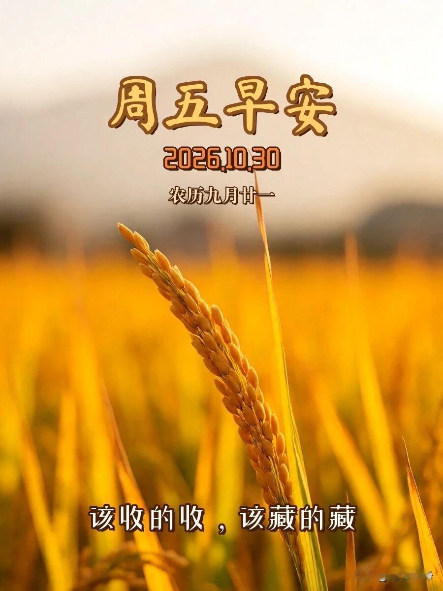 🍂²⁰²⁶/₁₀.₃₀ ᵕ̈ 周五早安｜静等周末☕️🍞🍒🍑
暮秋晨光缓缓