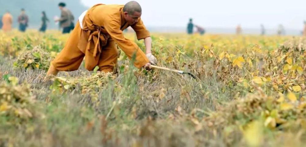 释印乐大师刚上任主持，3天就有6人辞职，理由居然都是“腰不行”，这事儿听着就够魔