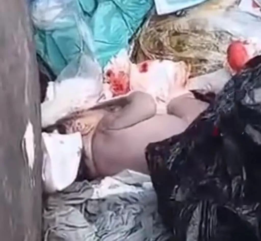 10月8日，黑龙江七台河市发生了一件令人揪心的事情。市民在垃圾桶竟发现了一名女婴