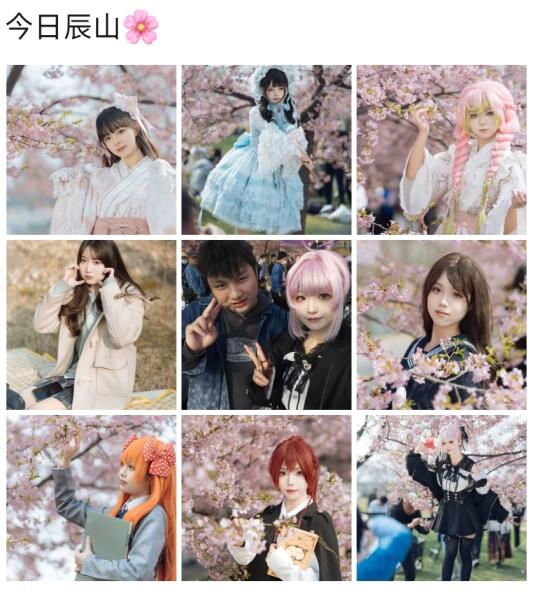 樱花季真好啊！