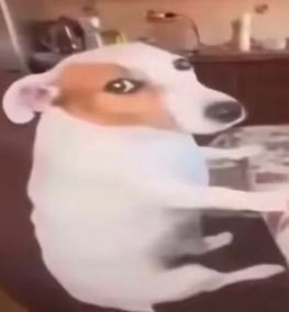 你身边陪伴你最久的一件东西是什么 ​​​