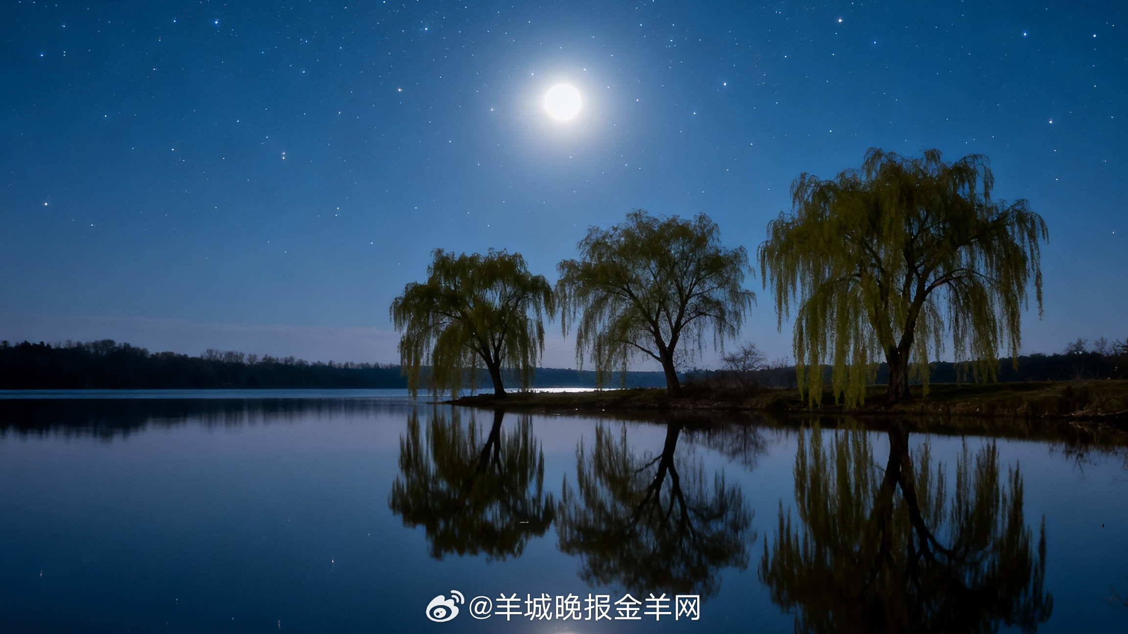 #晚安# 愿你的夜晚，有星光为伴，有温暖入梦，明日醒来，依然是闪闪发光的自己。 