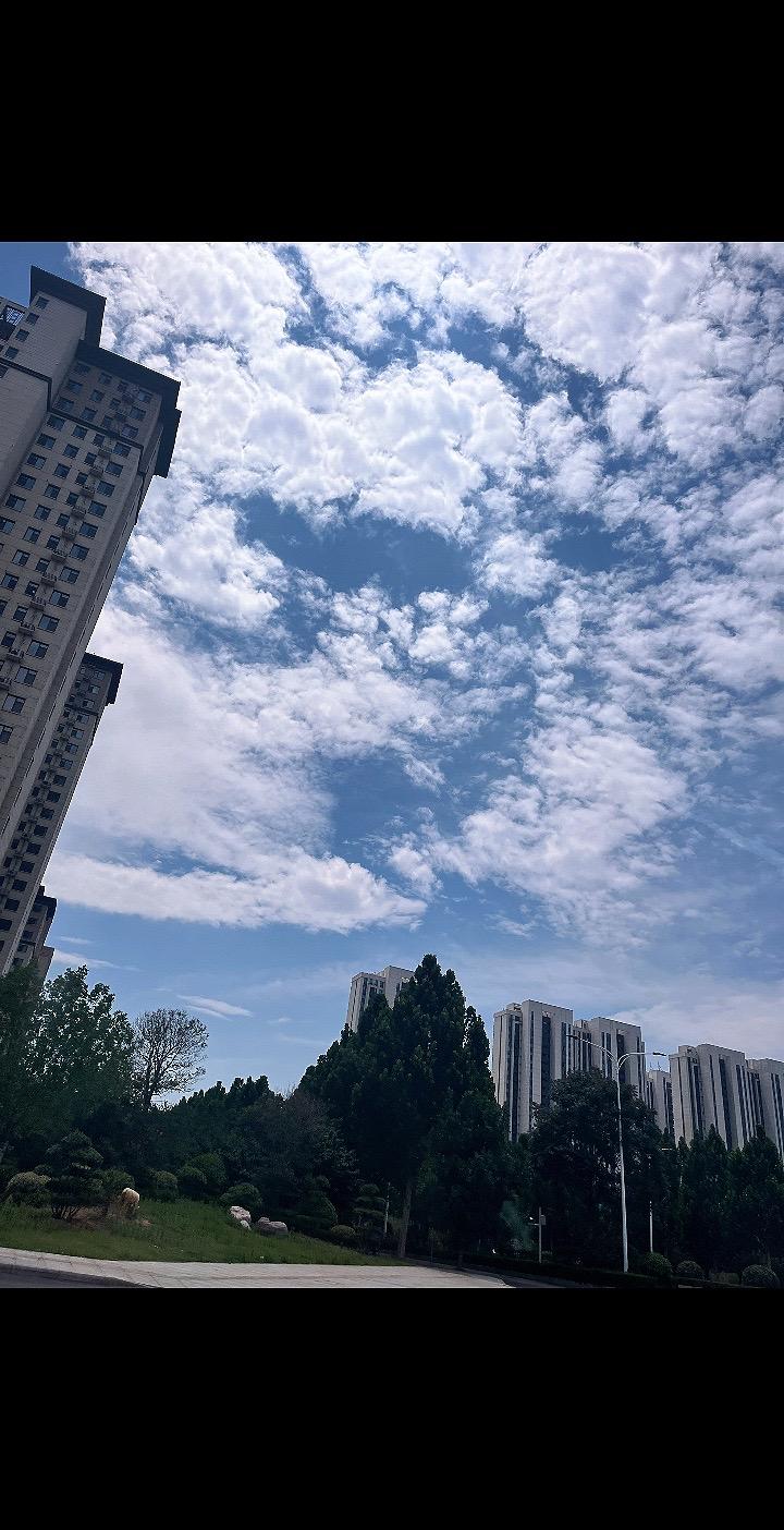 永远不要做一个羞耻心太重的人，一流的红尘大师都是极其自我的存在，他们的羞耻心几乎